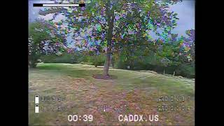 Tiny Trainer Backyard Practice