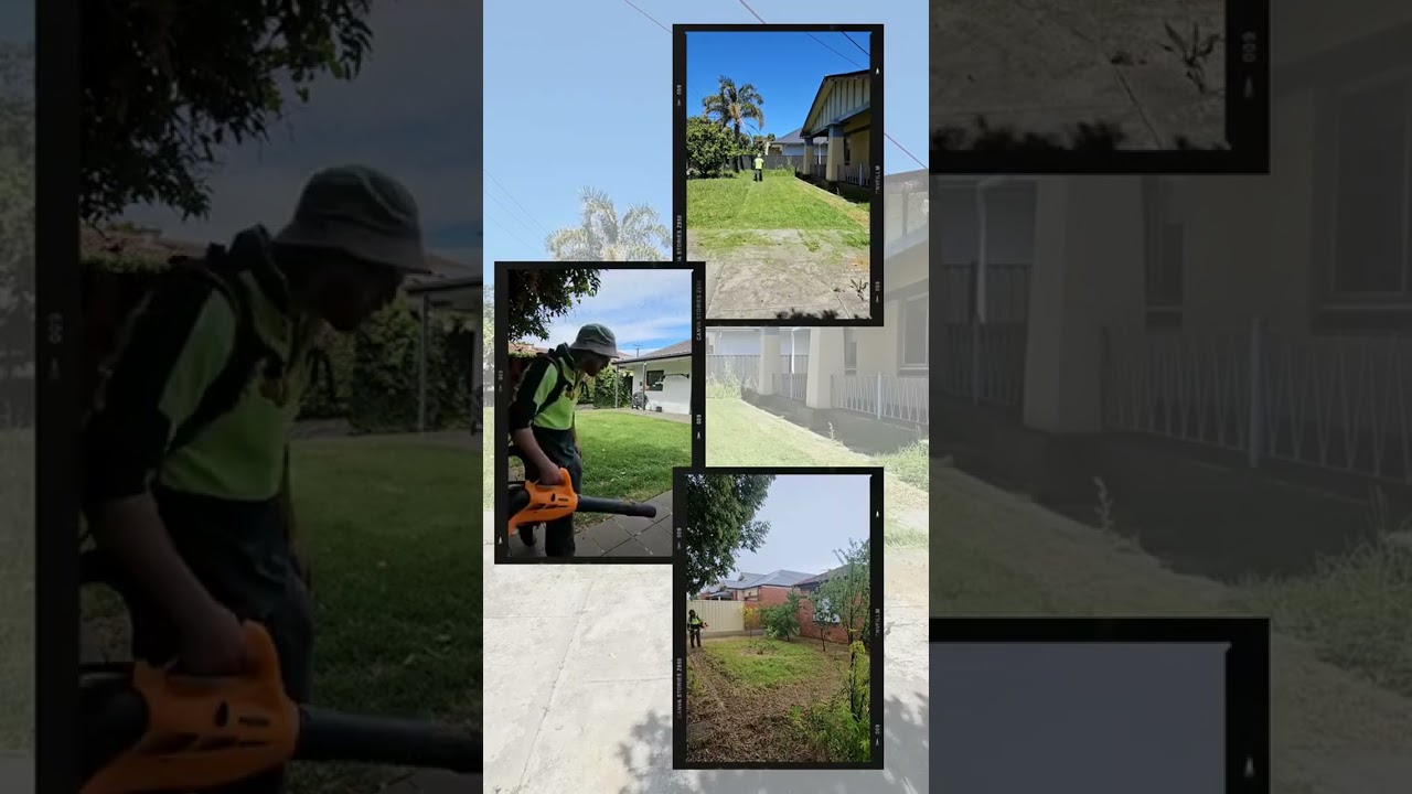 Enjoy a beautiful, freshly cut lawn and a tidy yard without the hassle