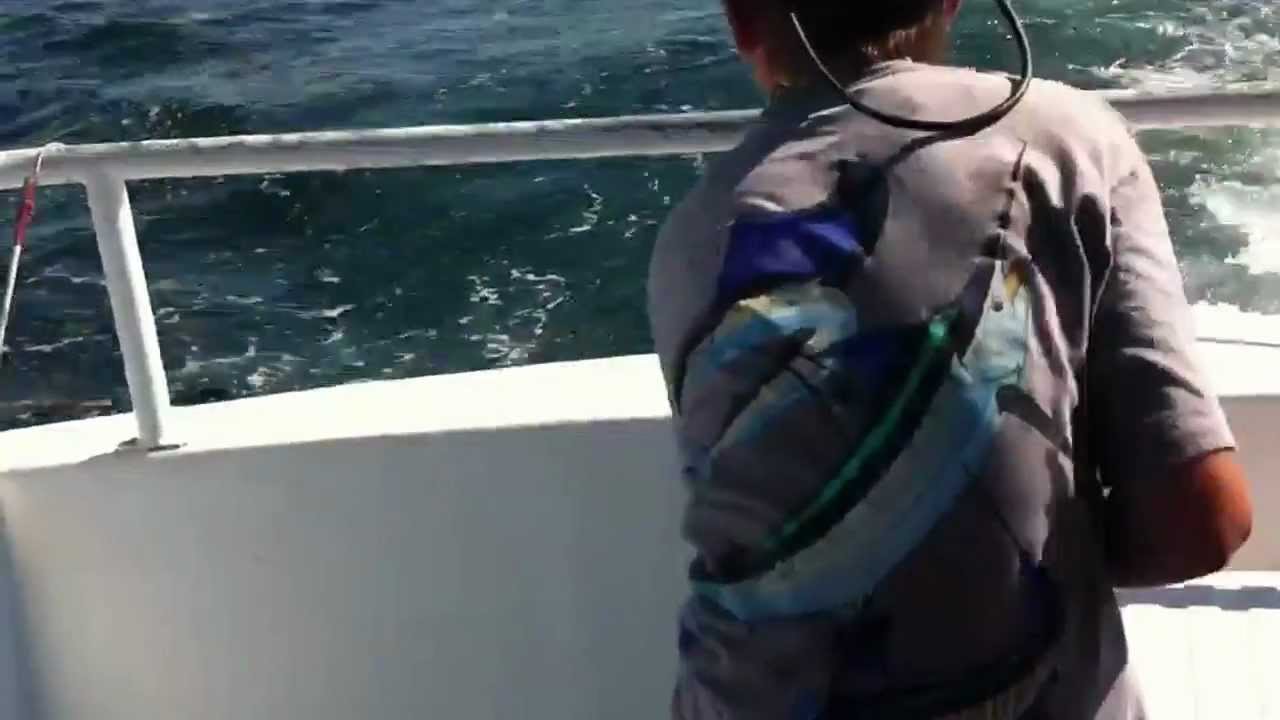 Deep sea Fishing King Mackerel 