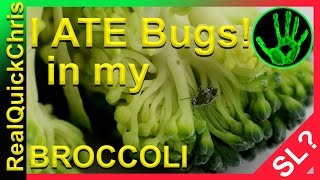 discovered in my Broccoli
