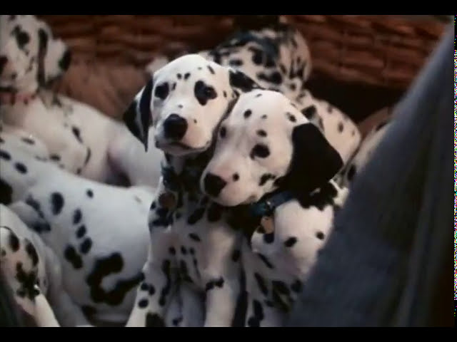 101 Dalmatians film artwork