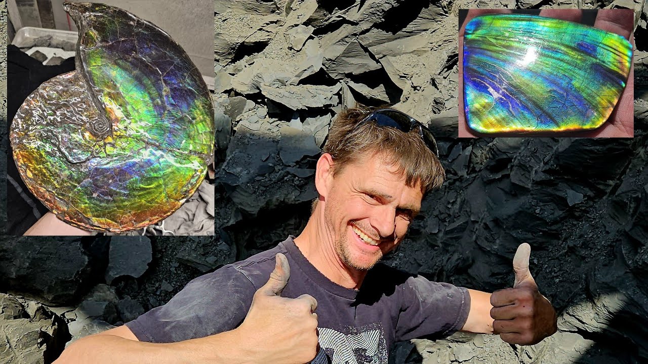 Man Discovers Mega Value Ammolite Mine while Rock Hunting in Alberta, Canada!