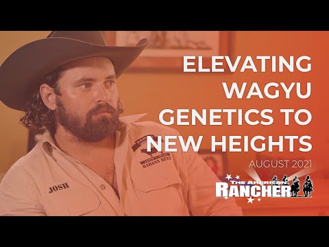 Cattleman'S Steakhouse Okc - Elevating Wagyu Genetics to New Heights | The American Rancher Promo