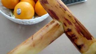 Walking stick cane & Veritas stick making tools