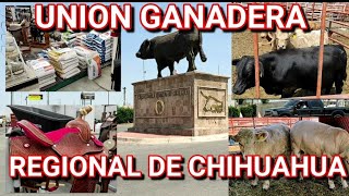 VISITAMOS LA TIENDA OFICIAL Y LOS CORRALES