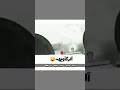 تصميم امريكا اشو ورطها ويانا بدون حقوق تصميم امريكا اشو ورطها ويانا بدون حقوق