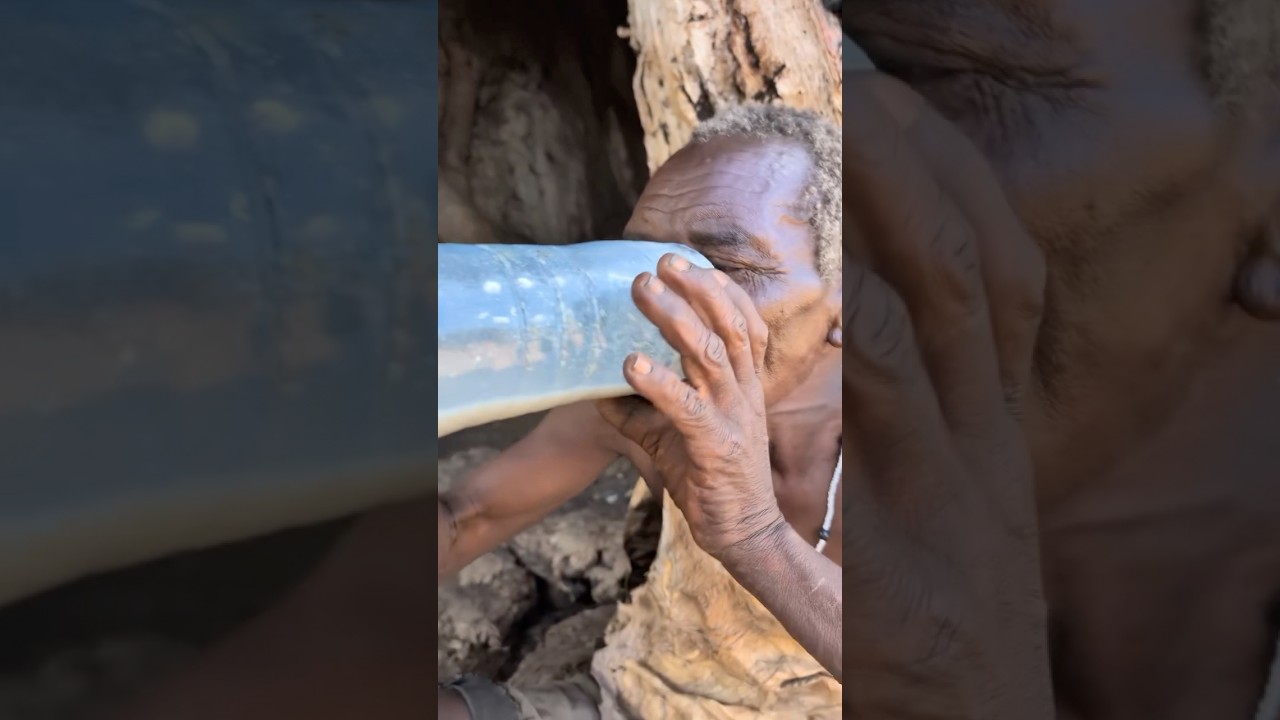 This how hadzabe drink alcohol after hunting