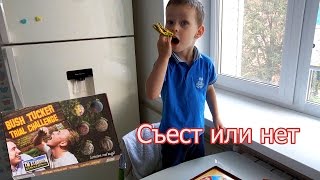 VLOG: Утро, собаки / Bush Tucker Trial Challenge / Что в моем телефоне VLOG: Утро, собаки / Bush Tucker Trial Challenge / Что в моем телефоне