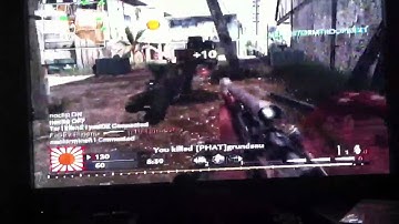 World At War with Trolling Mod Menu