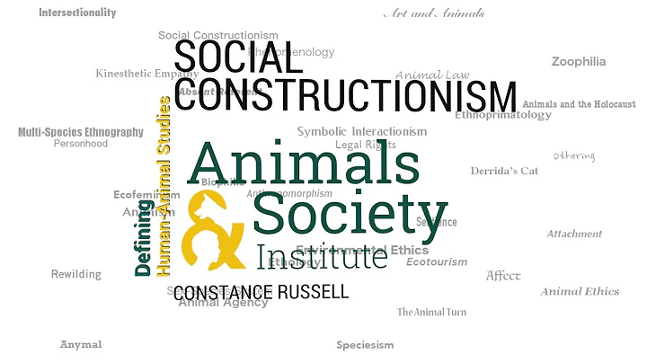 Defining Social Constructionism with Constance Rus...