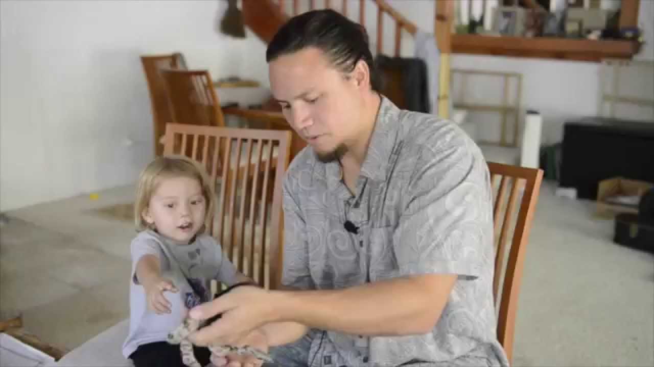 video phone beyonce mp3 Guayana Boa Unboxing - Ep.10