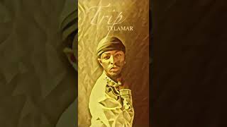 Trip By Tylamar