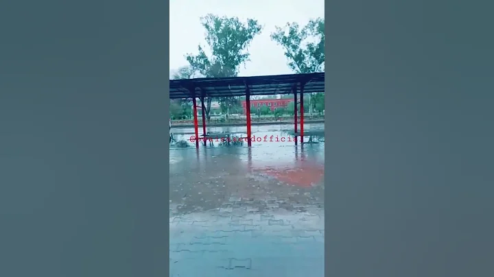 BZU Multan Rainy weather #bzu #rainyday #youtubeshorts #viral #bzumultan