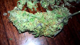 TGA's. Querkle.....Nug Porn