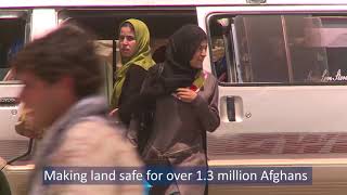 Halo Afghanistan 10 Years In Herat