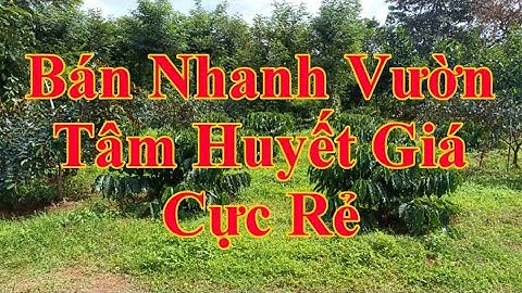 Bán Đất Đắk Nông 1,6HA vườn cafe sầu riêng cây ăn nguồn thu mạnh gần trương chợ giá công khai 920tr