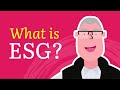 What is ESG and why is it important? Lessons learned and best practices with Dave Stangis