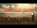 السيرة النبوية العطرة الجزء الثالث حليمة السعدية وحضانة النبي ﷺ بركة وكرامات وحادثة شق الصدر 