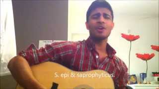 Urease-Positive Organisms for Microbiology SONG - Med Dream Team