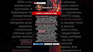 🌊 ЖИЗНЬ В КИПЯТКЕ И ЯДЕ #факты #история #интересно #фактореал #shorts #новости