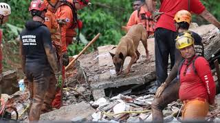 Breaking News Floods, Landslides In Juiz De Fora, Brazil, Have Destroyed Many Homes & Damaged Roads