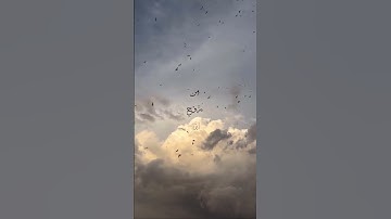 سورة يوسف |الاية ٨٩