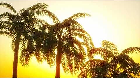 3d models of sunset palm & wind animation in GrowFX