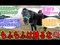 【親分報】クーヴェルチュールは今日も耳がないwwwに対するみんなの反応集【競馬の反応集】