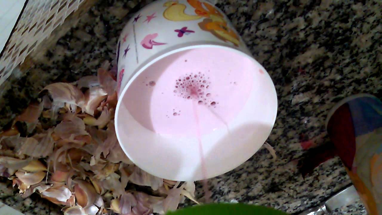 GARLIC GUARD COM MELHORIAS YouTube