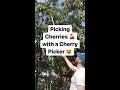 How to Use a Cherry Picker Tool