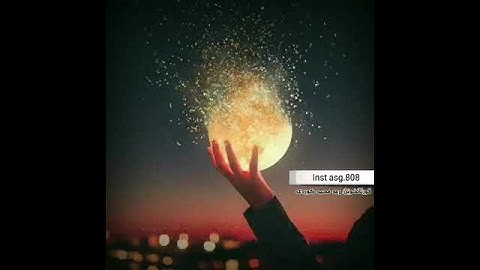 قرآن كريم بصوت القارئ:رعد الكردي|| أجمل حالات واتس اب دينيه|| تلاوة خاشعة💚🌿