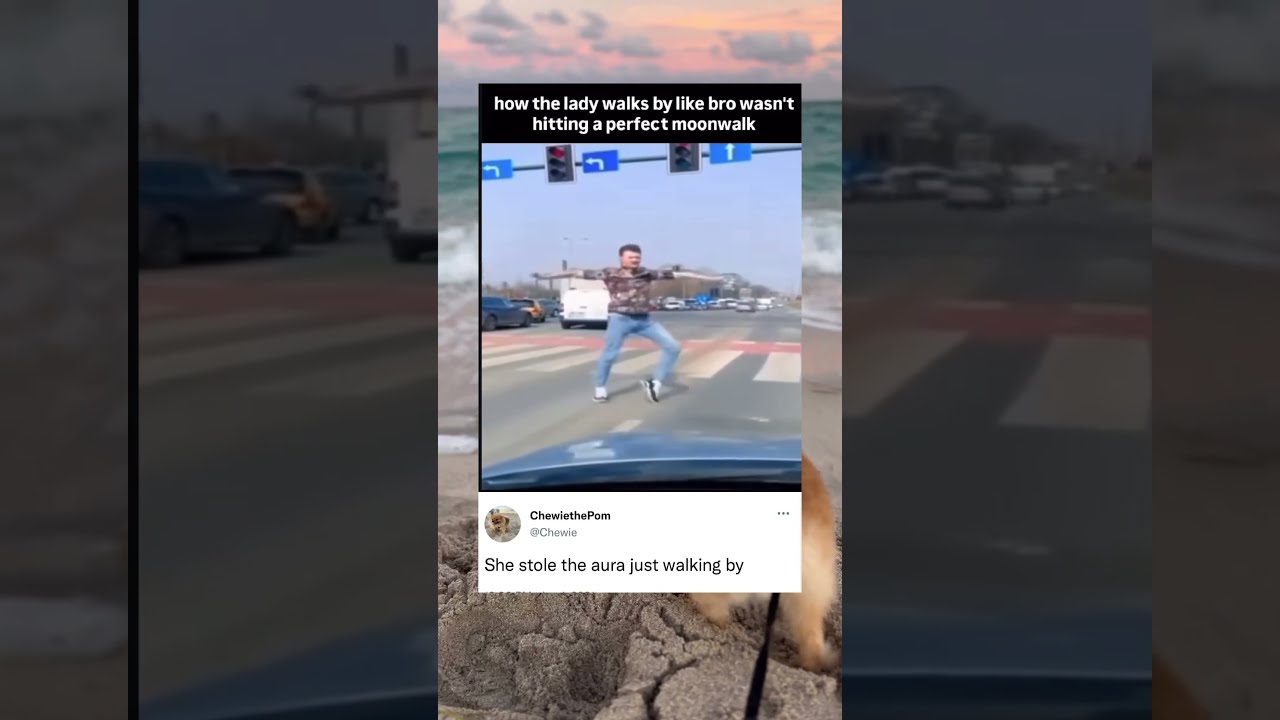 Man Has Smoothest Moon Walk Ever But Lady Still Walks By Funny Dance Memes Moonwalk