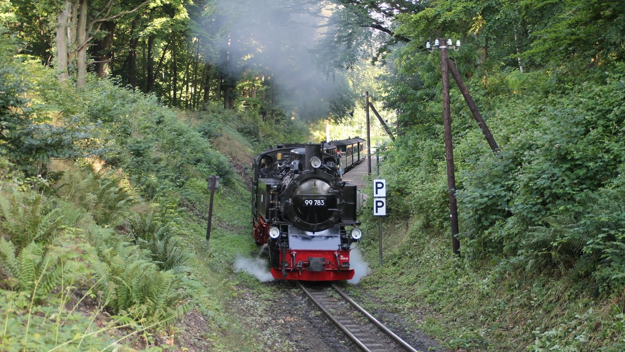 Der Rasende Roland im Sommer 2025 / Teil 1 / von Göhren zum Jagdschloß