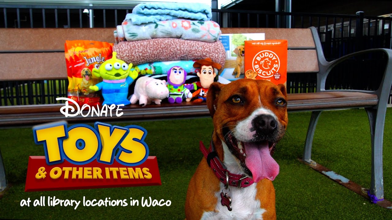 Donate Items to the Animal Shelter at all Waco Library Locations! - YouTube