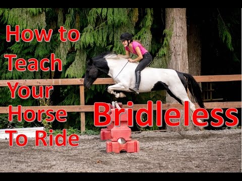 How to Teach Your Horse to Ride TACKLESS