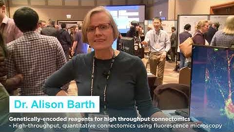 Dr. Alison Barth and The BRAIN Initiative®