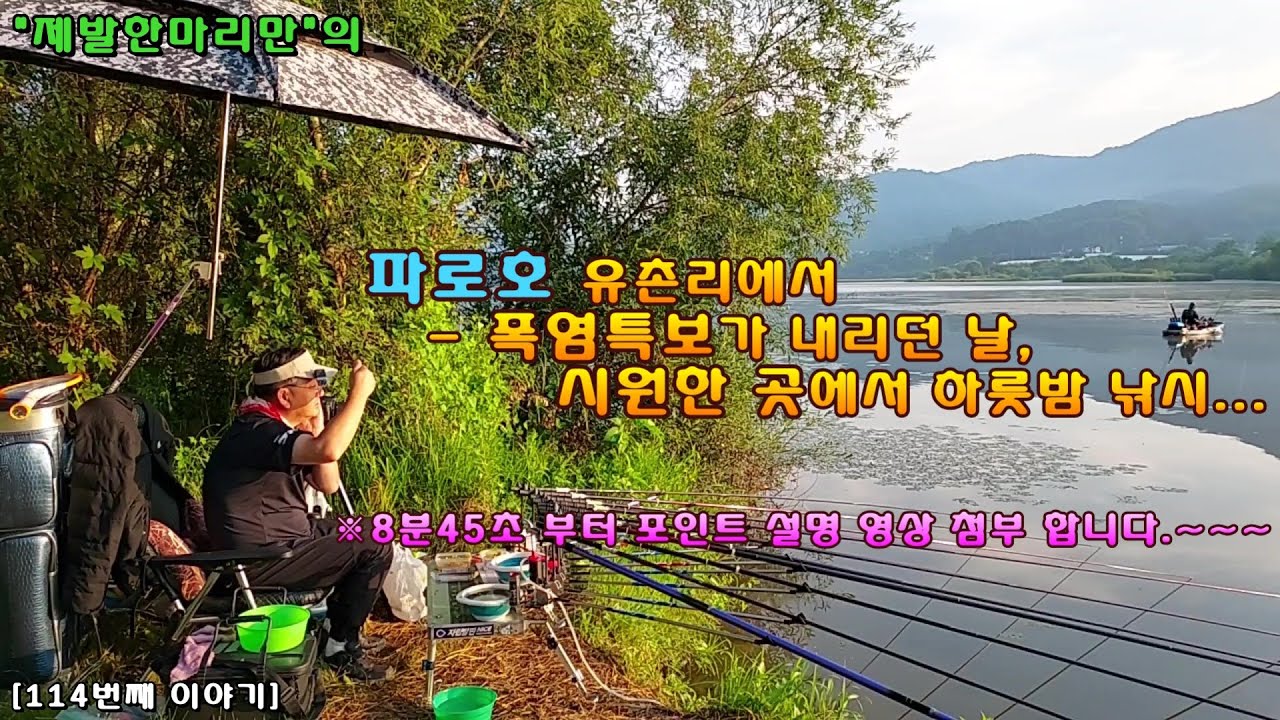 파로호 유촌리에서 - 폭염특보가 내리던 날, 시원한 곳에서 하룻밤 낚시...[114번째 이야기]