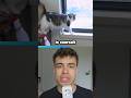 Ce chat est maudit