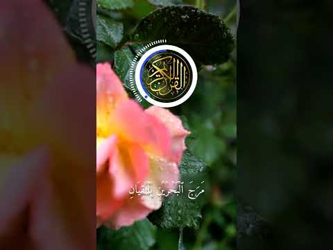 القارئ عبد الباسط عبد الصمد Quran آيات القرآن تلاوة Shortvideo Short  القارئ عبد الباسط عبد الصمد Quran آيات القرآن تلاوة Shortvideo Short