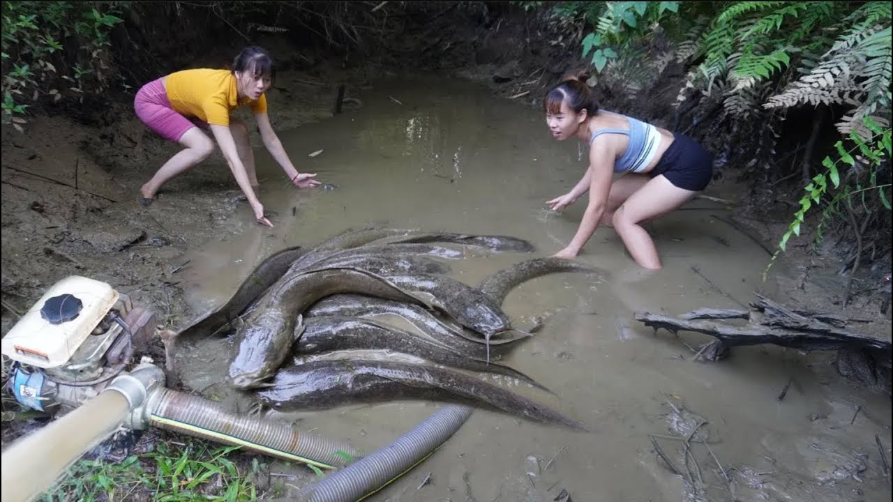 Hunting wild fish - Survival Skills, Catch A Lot Of Fish, Bushcraft ...
