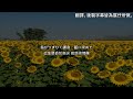 《我的童年回憶》地獄少女 二籠ED 能登麻美子 - あいぞめ 中日文歌詞翻譯