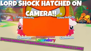 🔥LORD SHOCK HATCHED ON CAMERA!! NEW SECRET PET!! | Mining Simulator 2 | Roblox