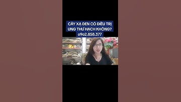 CÂY XẠ ĐEN CÓ ĐIỀU TRỊ UNG THƯ HẠCH KHÔNG?#0972.409.268 - 0902.858.377