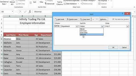 Apply Sort and Custom Sort in Excel 2013