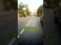সৌদির রাস্তায় ময়ুর অবাক কান্ড