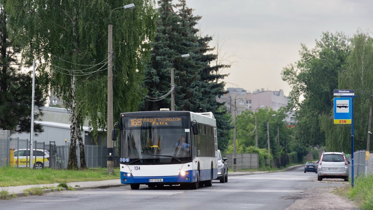 MAZ 203.069 #134 - Transport Pawelec (Przejazd, 165) [*]