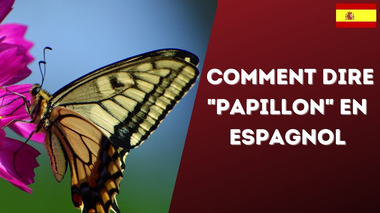 Image En Papillon Espagnol Page De Garde