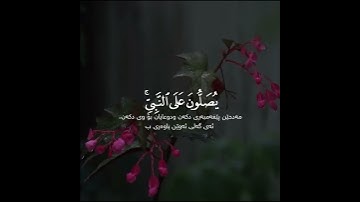 القارئ الشيخ يوسف العُمري ♥️