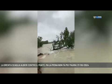 LA BRENTA SCAGLIA ALBERI CONTRO IL PONTE, MA LA PI...