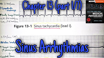 Sinus tachycardia and bradycardia - chapter 13 (part 1/7) - Guyton and Hall text book of physiology.